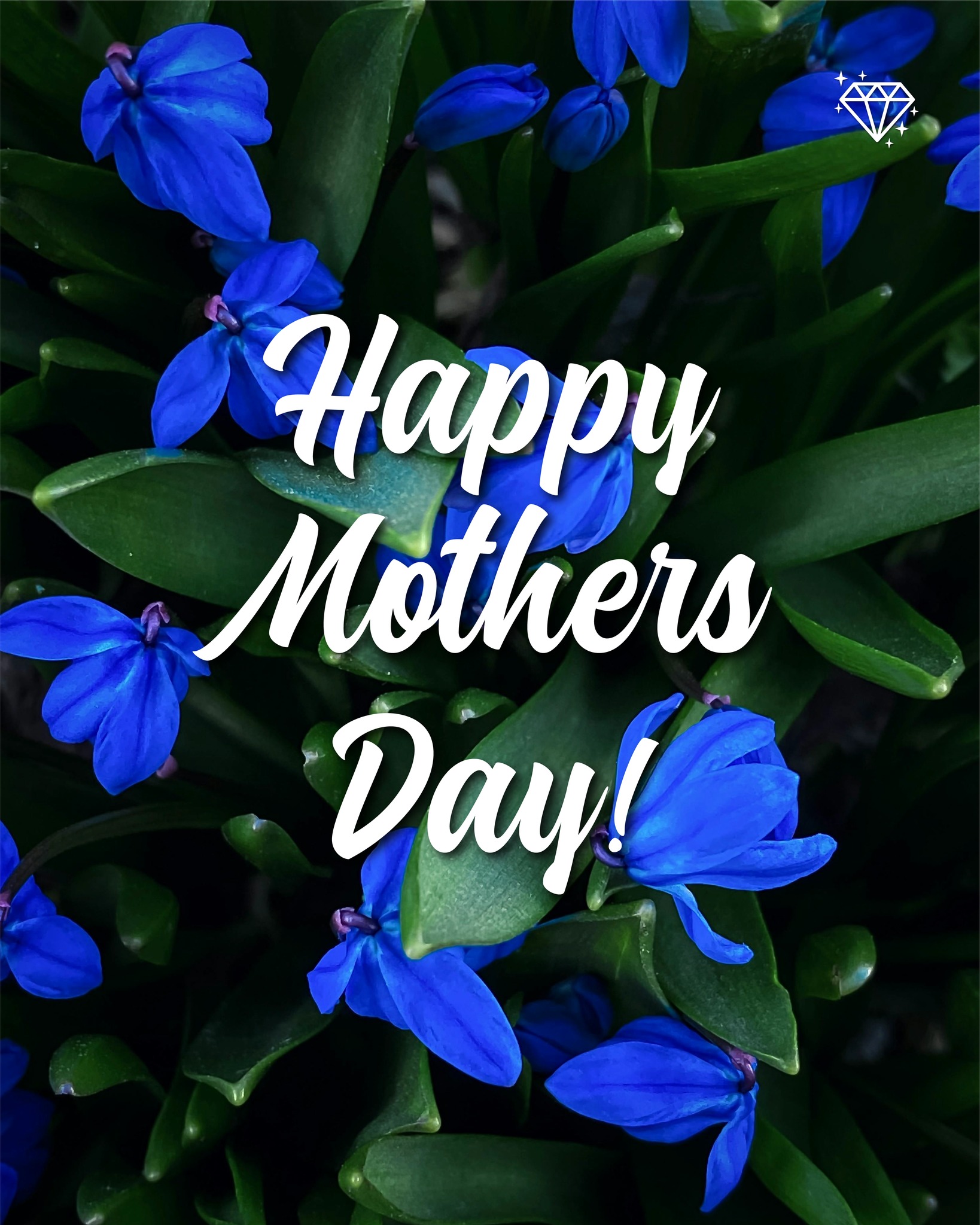 Happy Mother’s Day to all the incredible women who make our world a little brighter every day! 🌸✨
We hope your day is filled with love, relaxation, and perhaps a little pampering. Speaking of pampering, we are so excited to announce the winner of our Mother’s Day giveaway!
A huge congratulations to @rebeccamartin8882! 🥳 You have won a FREE 4-hour home cleaning! Please send us a DM to claim your prize and schedule your session.
Thank you to everyone who entered and shared the love for the special women in their lives. We loved reading all your tags and comments.
Wishing everyone a beautiful and restful Mother’s Day! 💜🧼
#MothersDay #WinnerAnnouncement #PristineCleaning #LondonOntario #SupportLocal